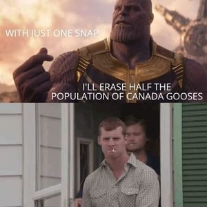 Meet your Posher, George